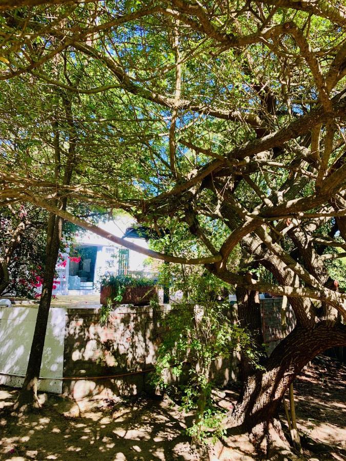 The Little Hideaway Guesthouse Stellenbosch Dış mekan fotoğraf