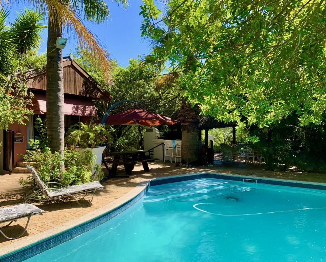 The Little Hideaway Guesthouse Stellenbosch Dış mekan fotoğraf
